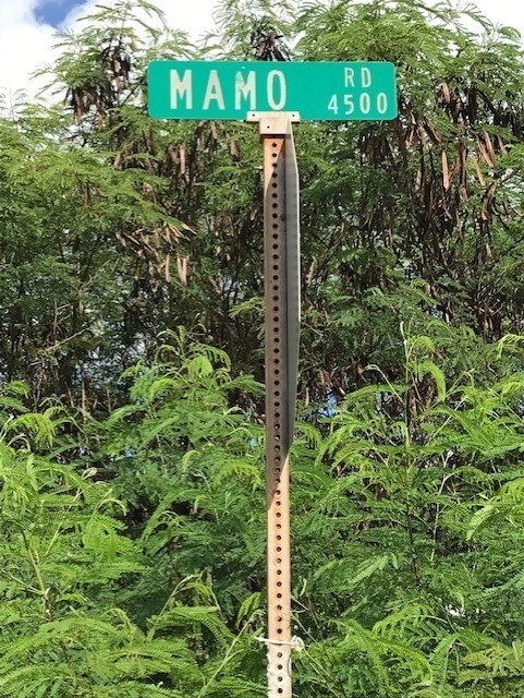 1 Mamo Road, Unit 1 Kekaha, HI 96752 - Photo 3 of 12 Gallery Image 3
