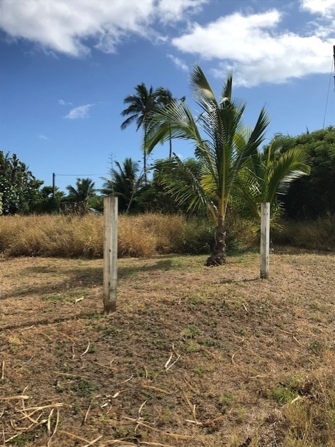 1 Mamo Road, Unit 1 Kekaha, HI 96752 - Photo 4 of 12 Gallery Image 4