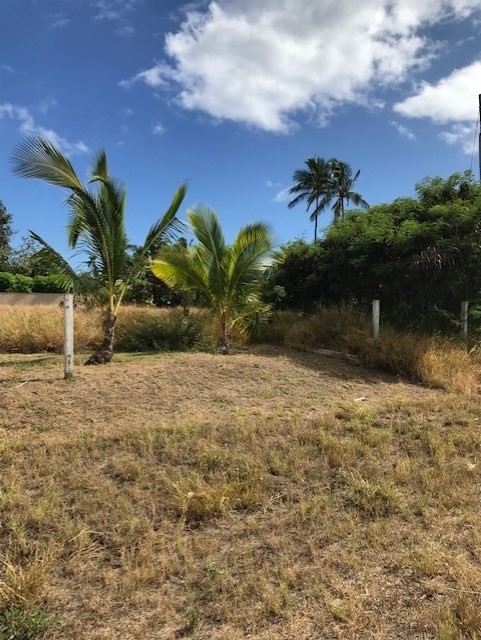1 Mamo Road, Unit 1 Kekaha, HI 96752 - Photo 5 of 12 Gallery Image 5