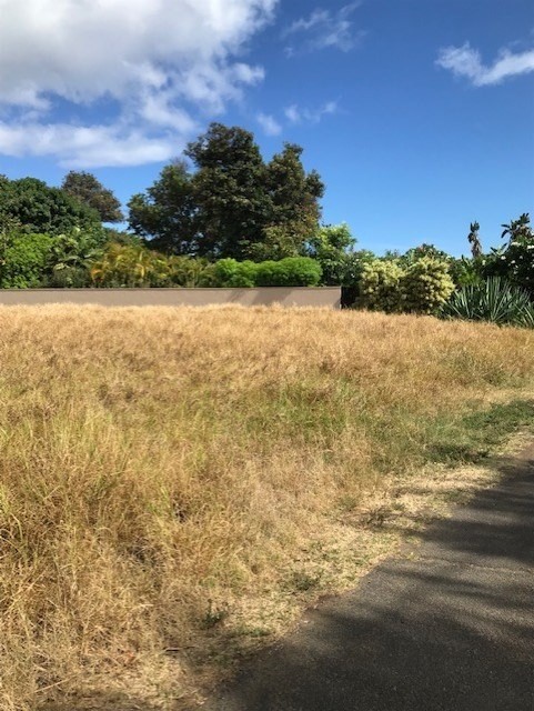 1 Mamo Road, Unit 1 Kekaha, HI 96752 - Photo 8 of 12 Gallery Image 8