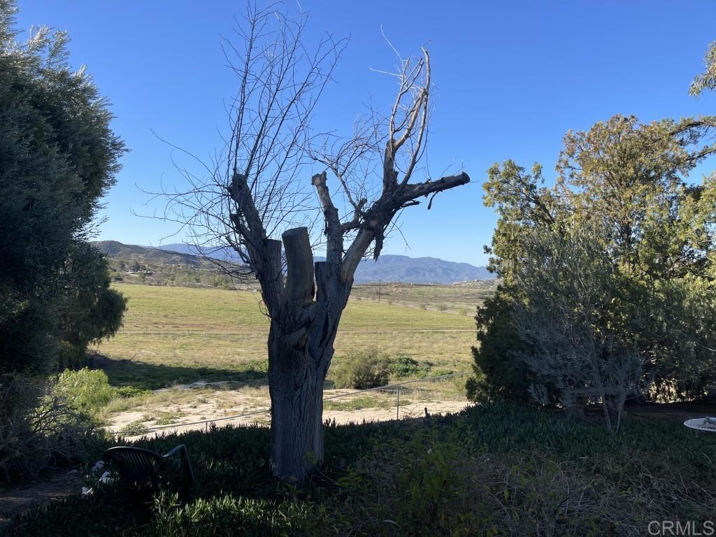 40254 Reed Valley Road Aguanga, CA 92536 - Photo 6 of 50