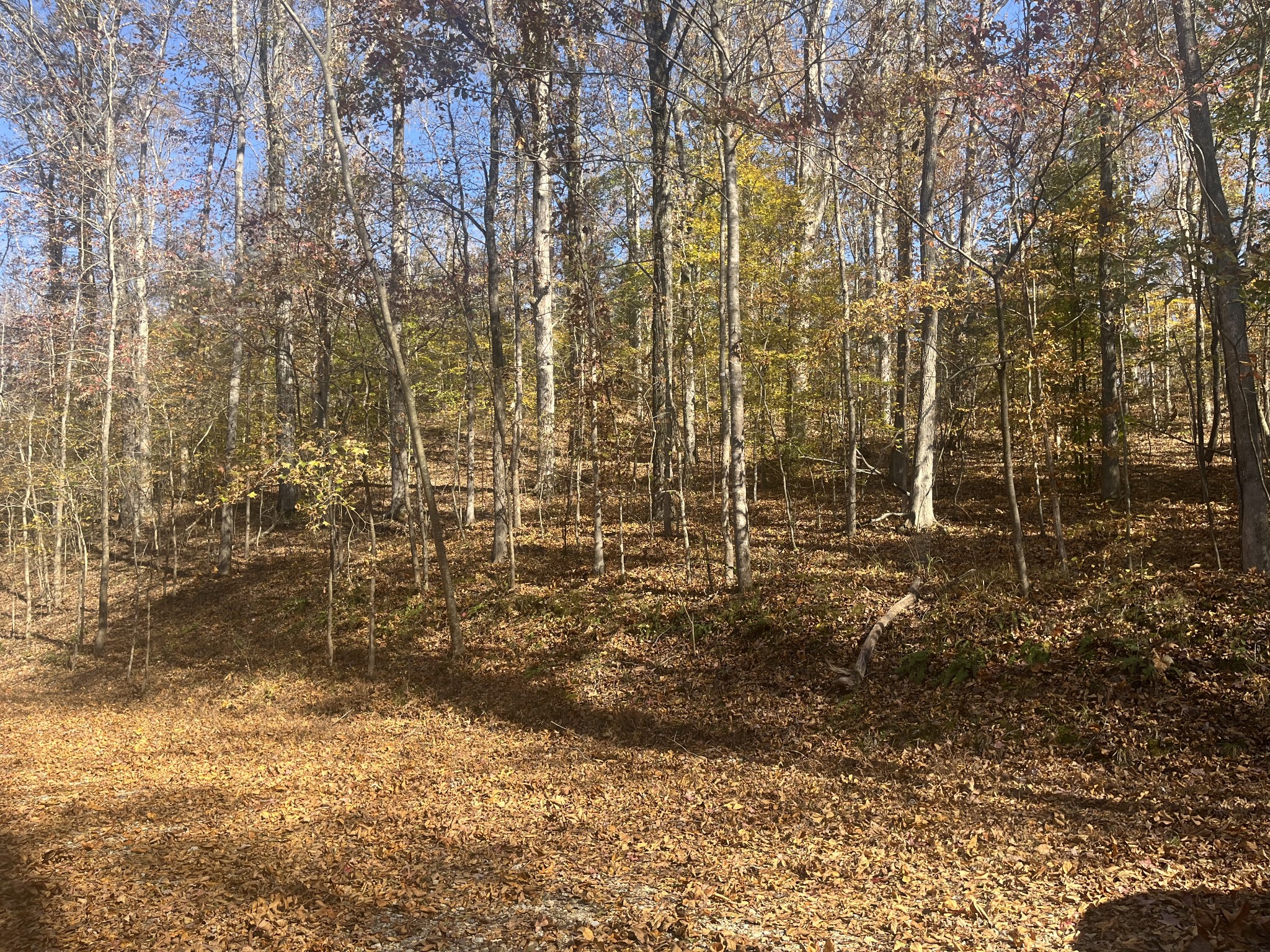 0 Arrowhead Circle Parsons, TN 38363 - Photo 2 of 5
