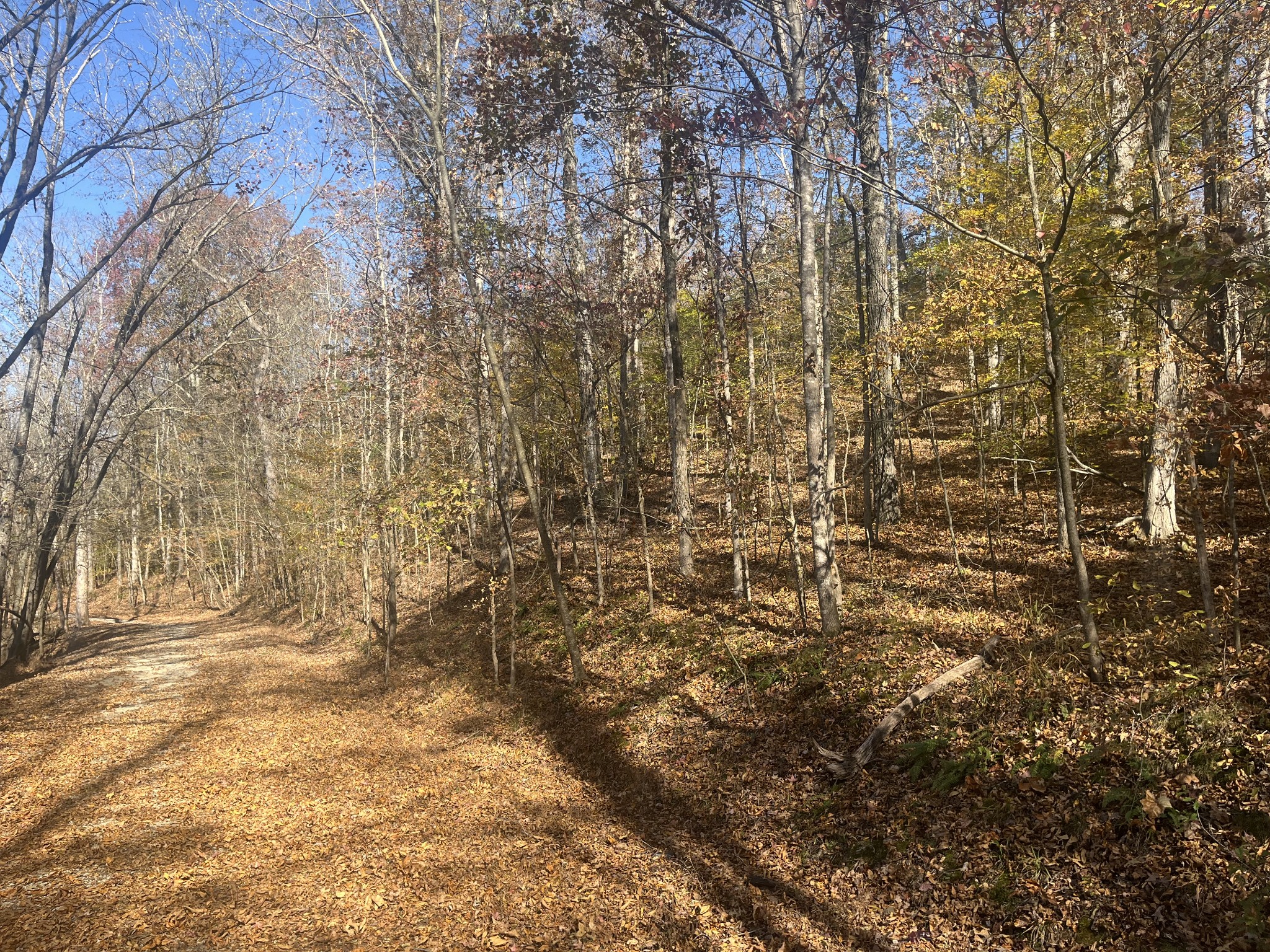 0 Arrowhead Circle Parsons, TN 38363 - Photo 5 of 5
