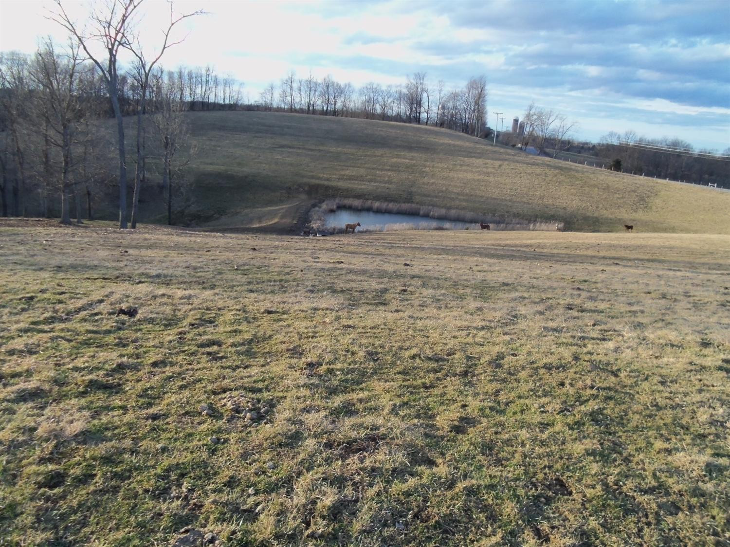 263 Pinhook Road Mount Olivet, KY 41064 - Photo 18 of 26 Gallery Image 18