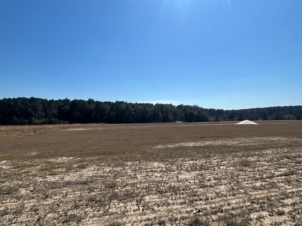 15-ac Webb Road Dothan, AL 36301 - Photo 15 of 33