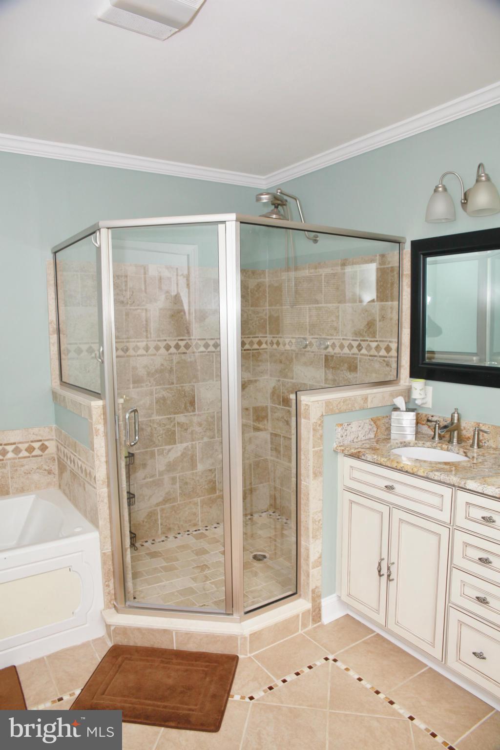 5313 Franconia Road Alexandria, VA 22310 - Photo 20 of 29 a bathroom with a sink a toilet and shower