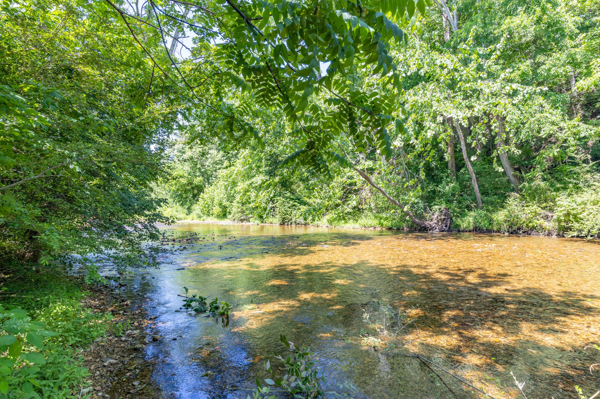 615 Little Swan Creek Road Hohenwald, TN 38462 - Photo 53 of 66
