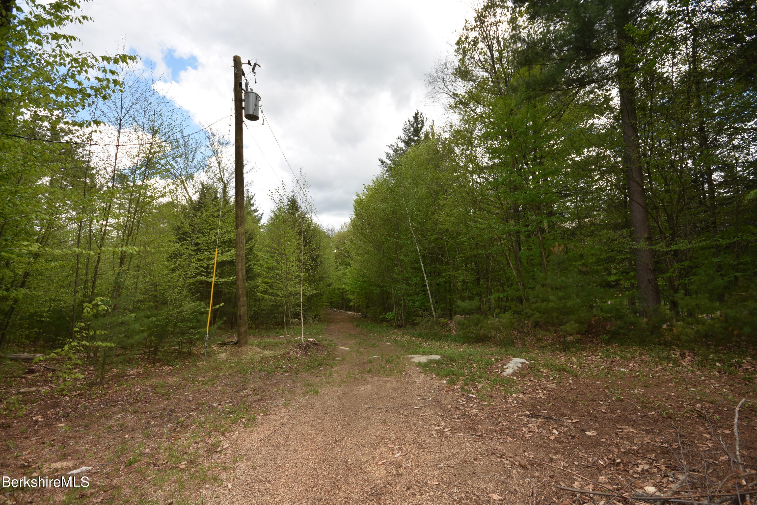 Lot 8 Chipman Road Chester, MA 01011 - Photo 8 of 16 a view of a forest with trees