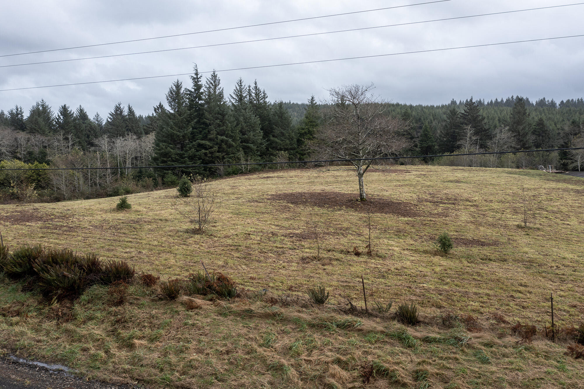 Lot 101 Whiskey Creek Road Tillamook, OR 97141 - Photo 3 of 12 3