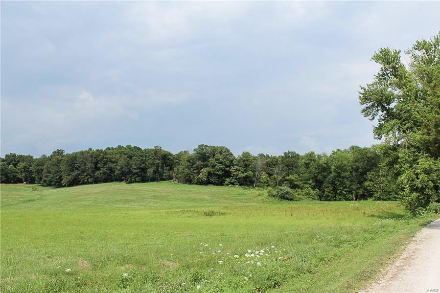 0 Ames Road Red Bud, IL 62278 - Photo 4 of 5