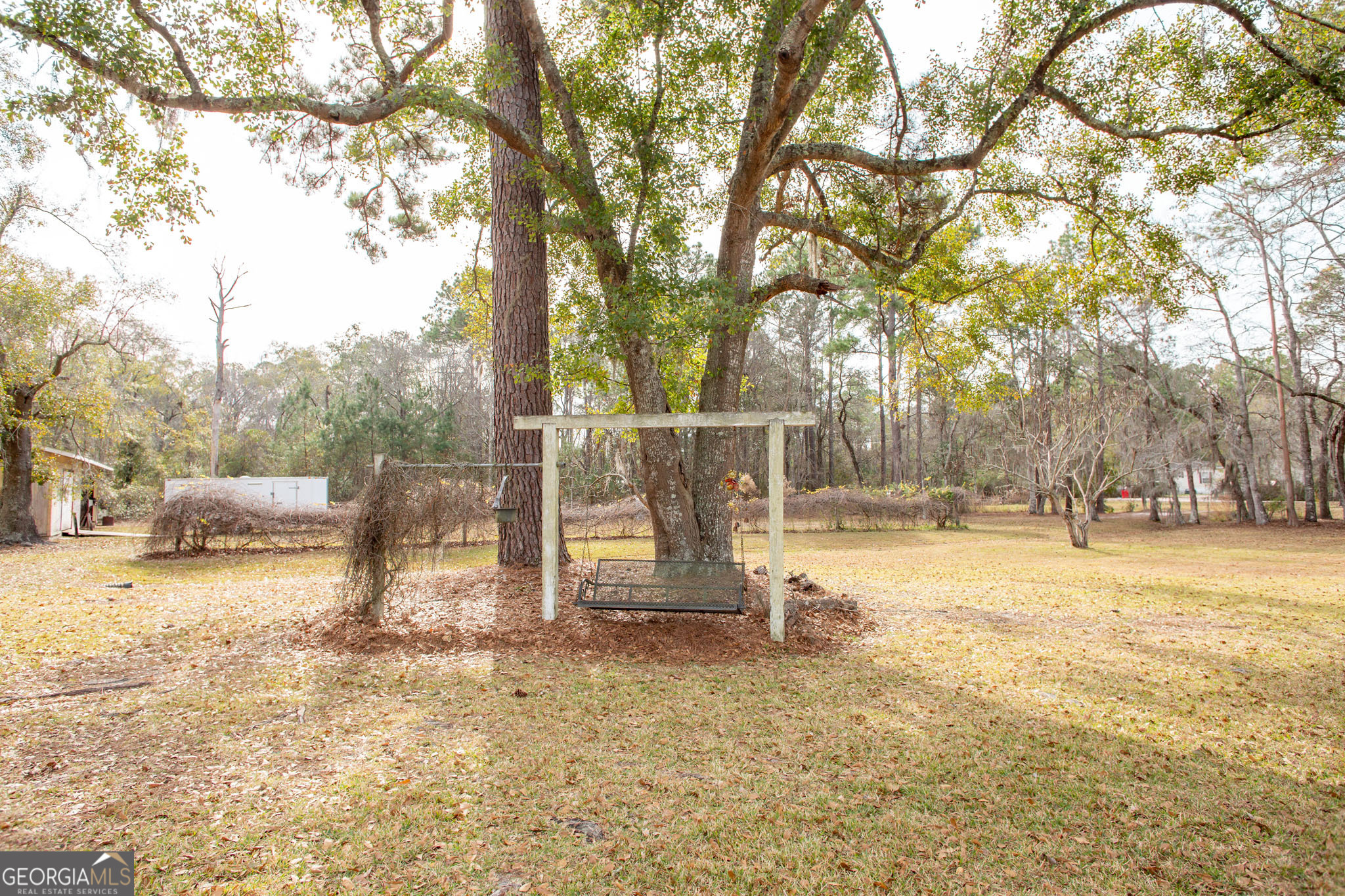 5084 White Hall Church Road Waycross, GA 31503 - Photo 7 of 41 a view of a yard with a tree
