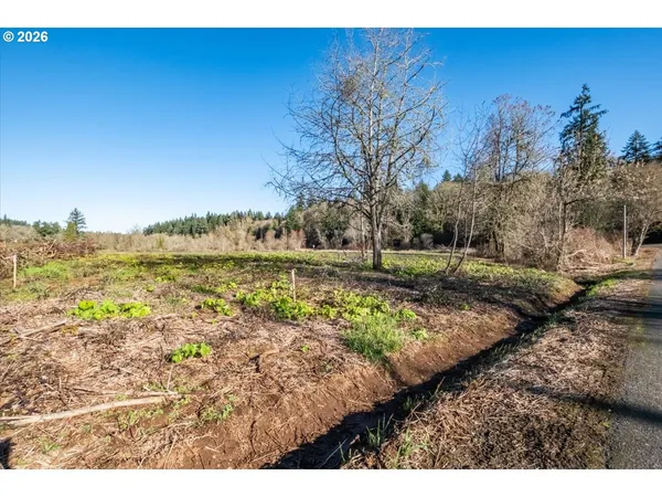 a view of a yard with an outdoor space