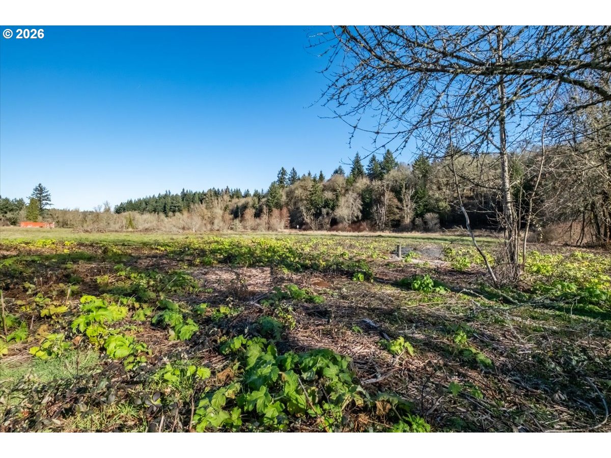 1 Ballyntyne Road South Salem, OR 97302 - Photo 2 of 21