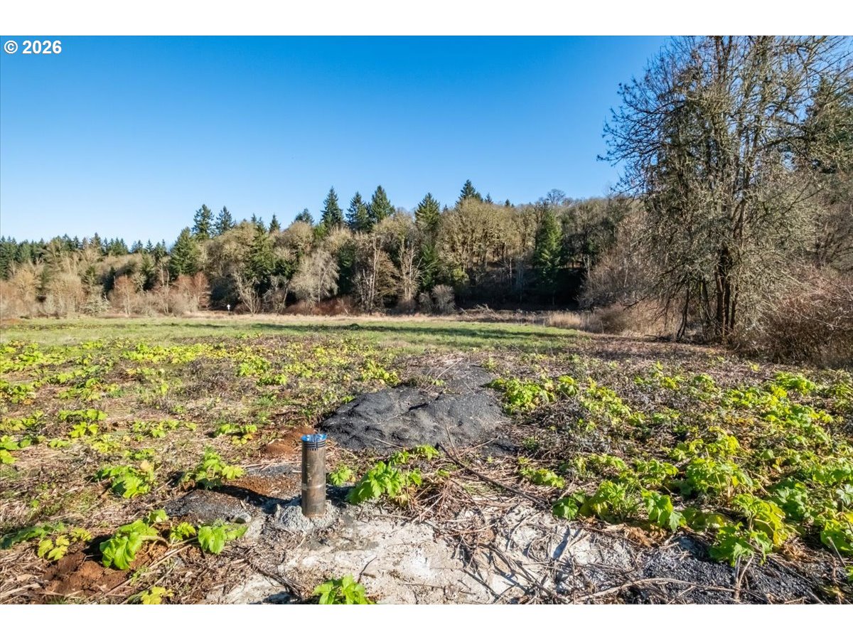 1 Ballyntyne Road South Salem, OR 97302 - Photo 3 of 21