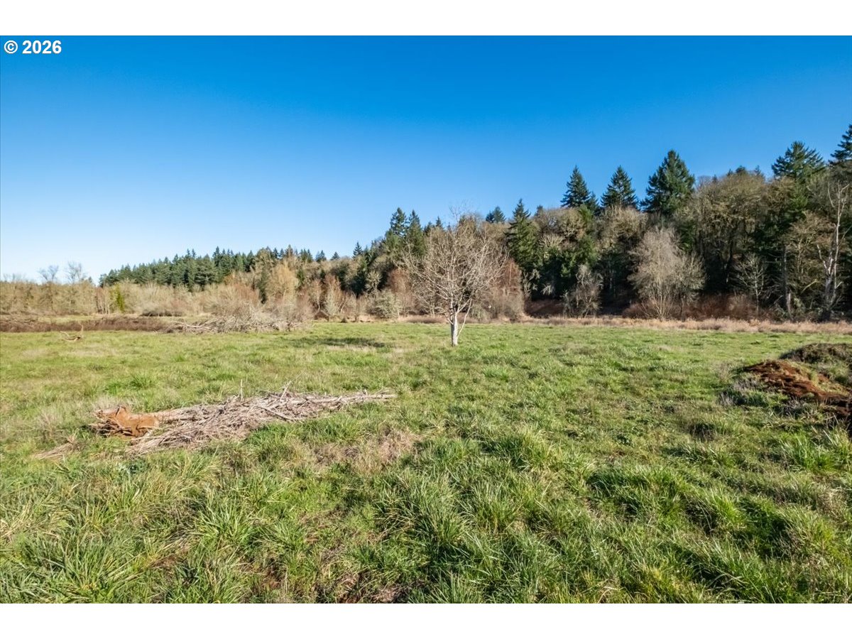 1 Ballyntyne Road South Salem, OR 97302 - Photo 4 of 21