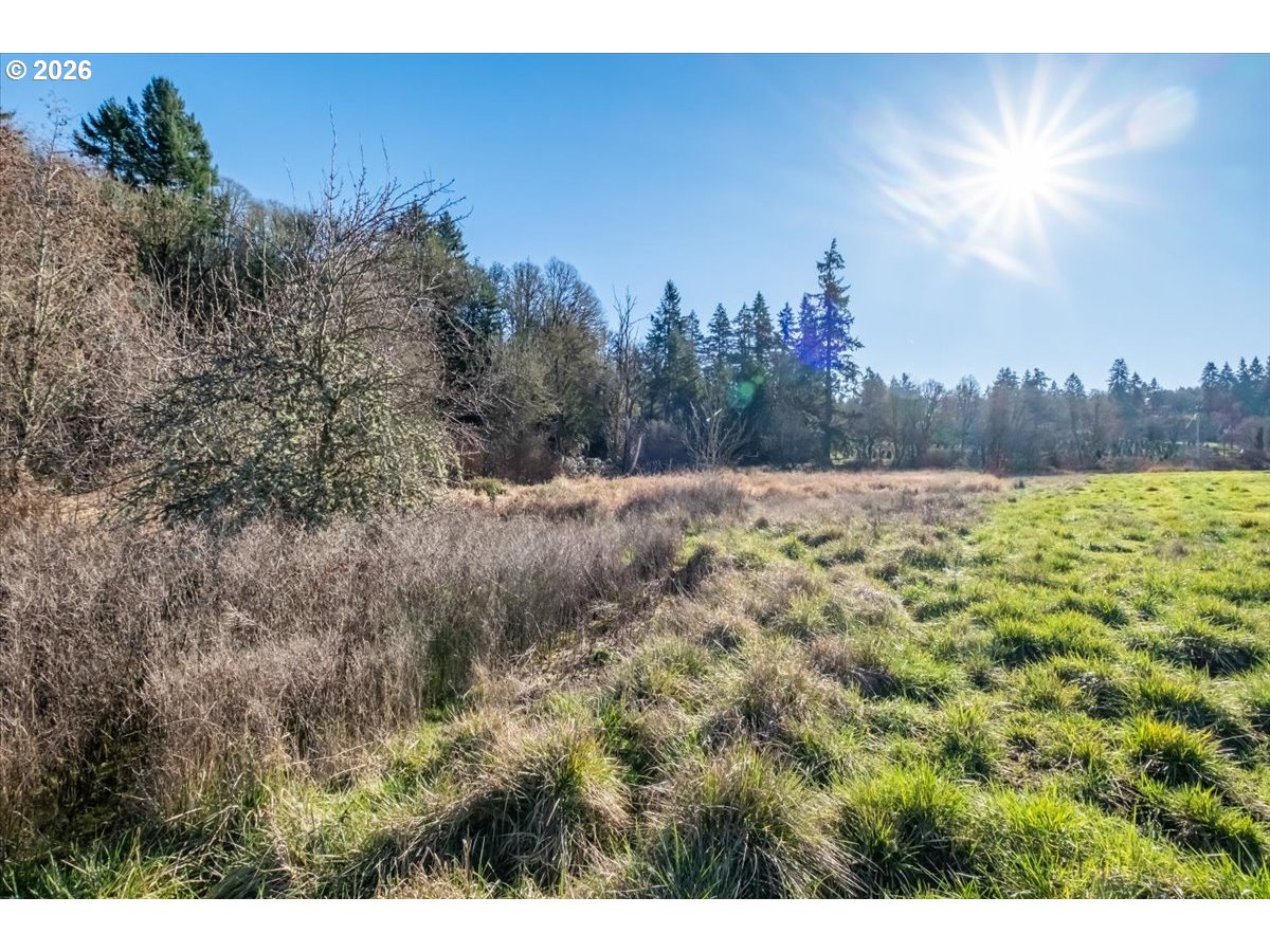 1 Ballyntyne Road South Salem, OR 97302 - Photo 6 of 21