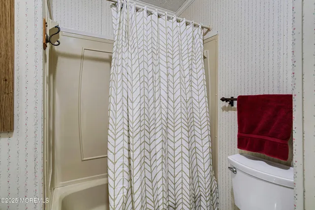 a bathroom with a shower curtain and a toilet