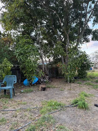 a view of a backyard with plants and large trees