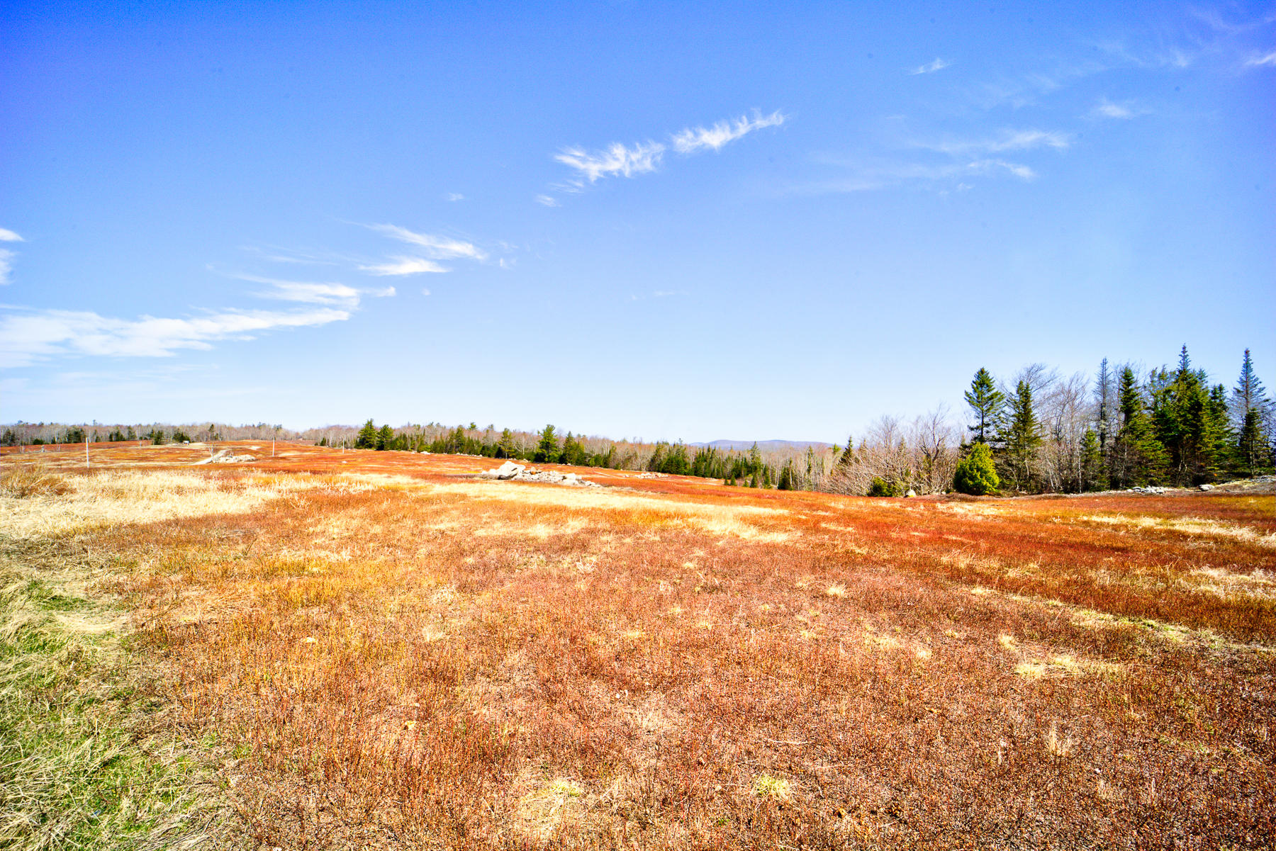 Lot 27 Leach Road Penobscot, ME 04476 - Photo 14 of 16 11