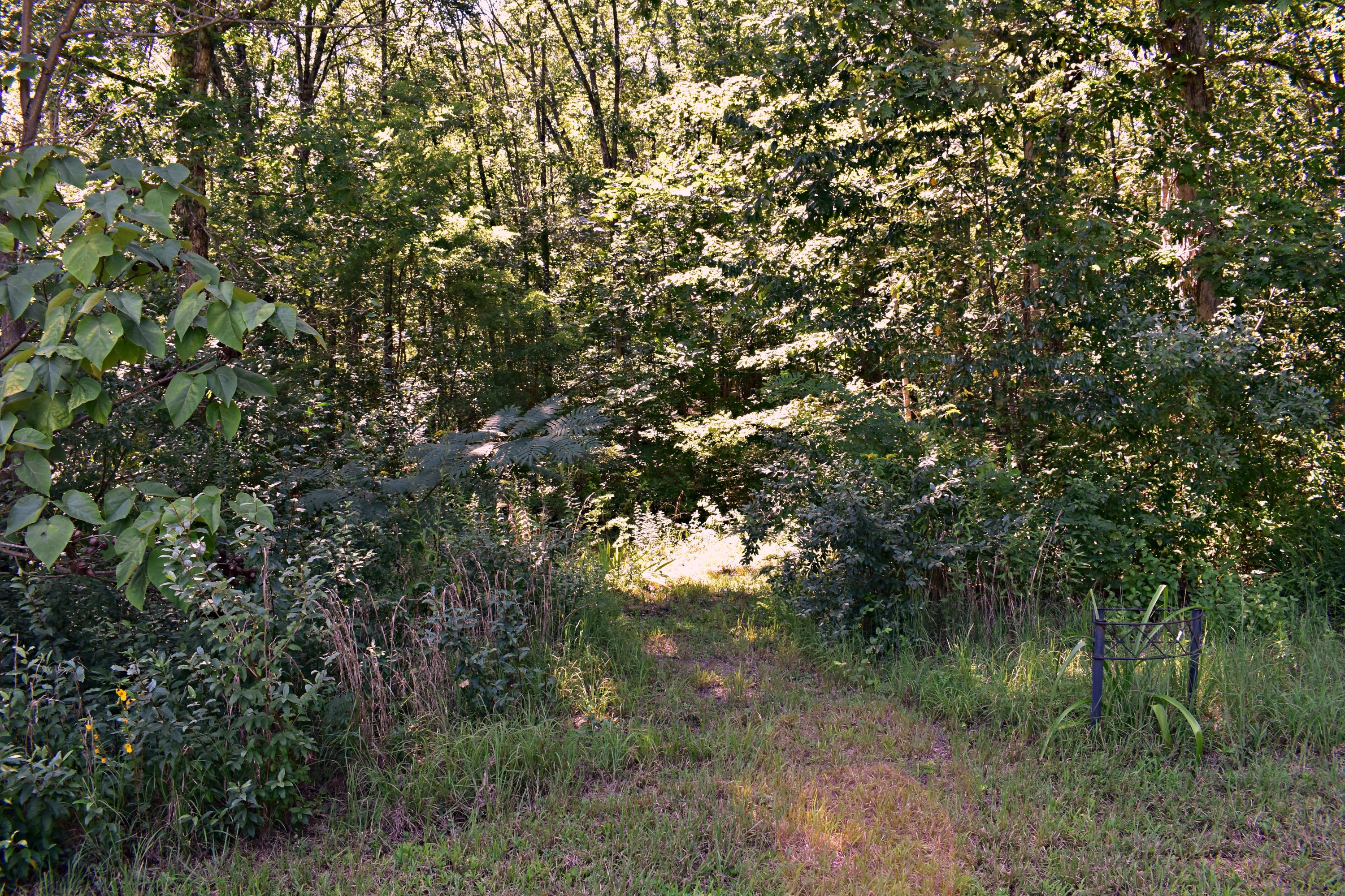 450 Hickory Road, Unit LOT 1 & 2 Spring City, TN 37381 - Photo 14 of 42 14
