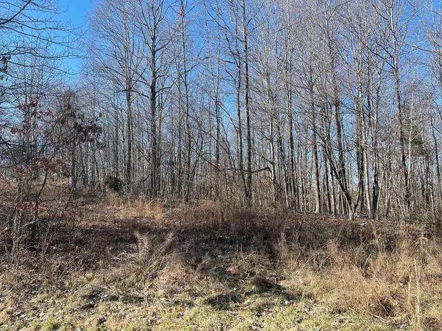 a view of backyard with green space