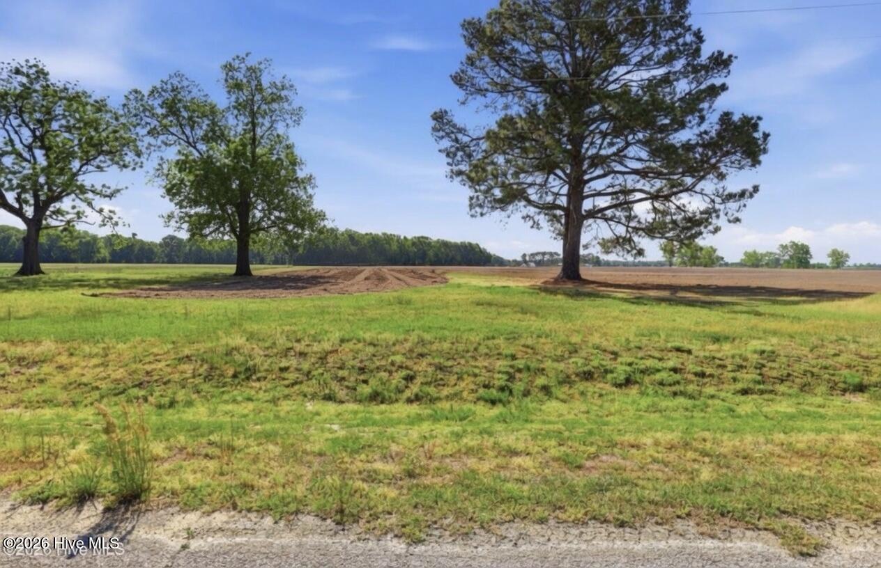 315 Flowers Road Mount Olive, NC 28365 - Photo 6 of 8