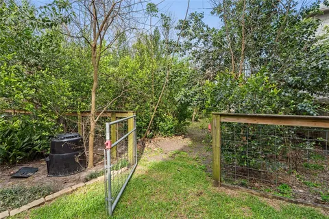 a view of a yard