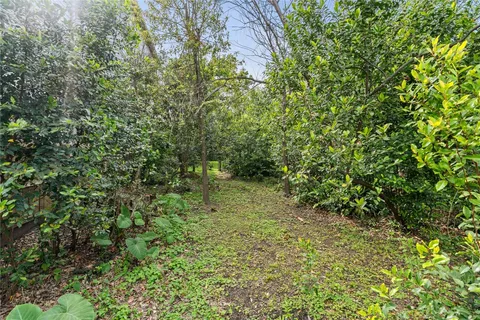 a pathway of a yard