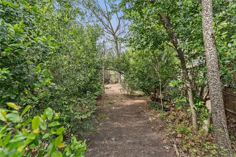 a view of backyard with deck and trees