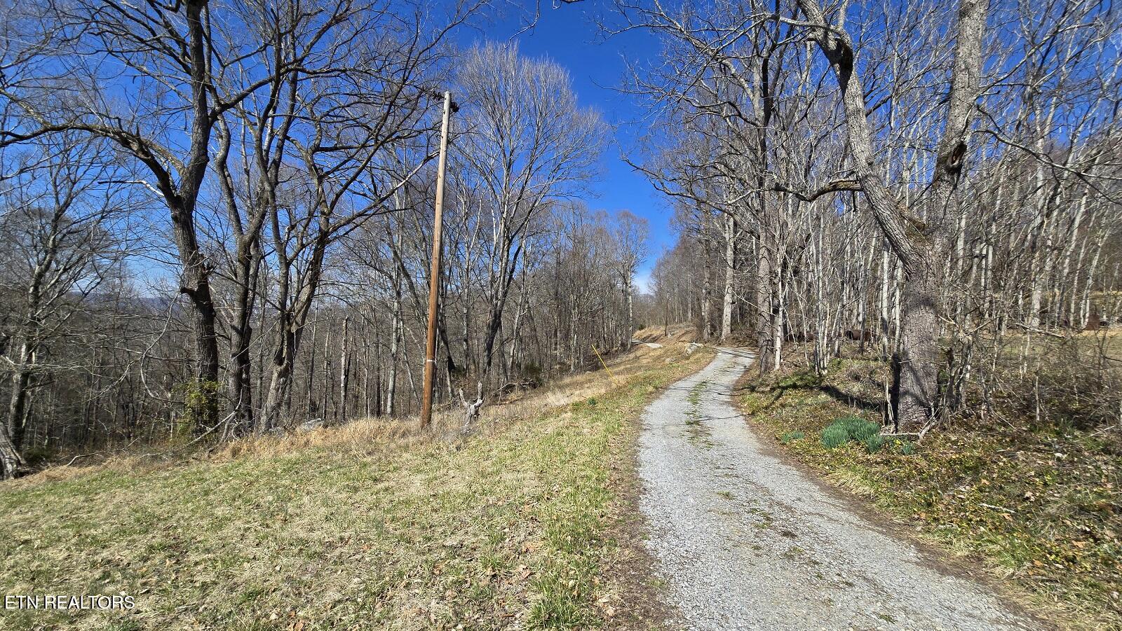 Chestnut Grove Road New Tazewell, TN 37825 - Photo 4 of 12 Entrance Rd