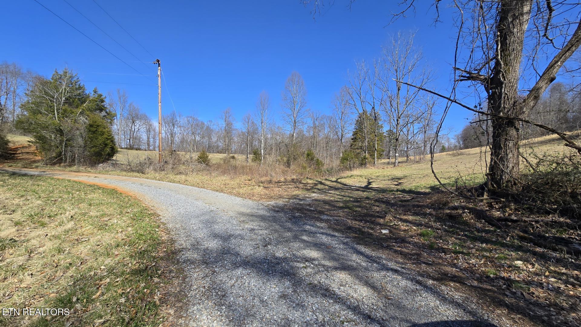 Chestnut Grove Road New Tazewell, TN 37825 - Photo 5 of 12 Snapshot 3