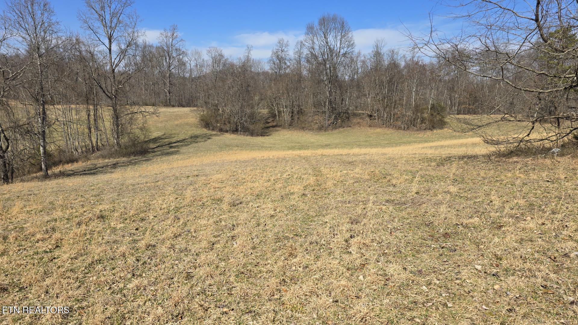 Chestnut Grove Road New Tazewell, TN 37825 - Photo 6 of 12 Snapshot 4