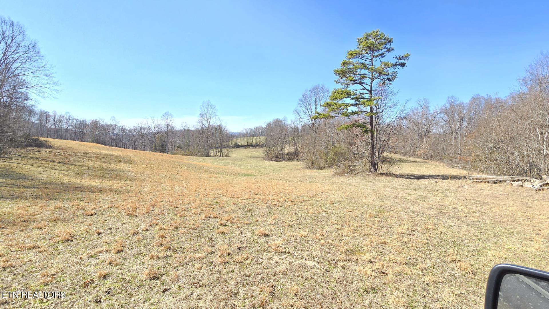 Chestnut Grove Road New Tazewell, TN 37825 - Photo 7 of 12 Snapshot 6