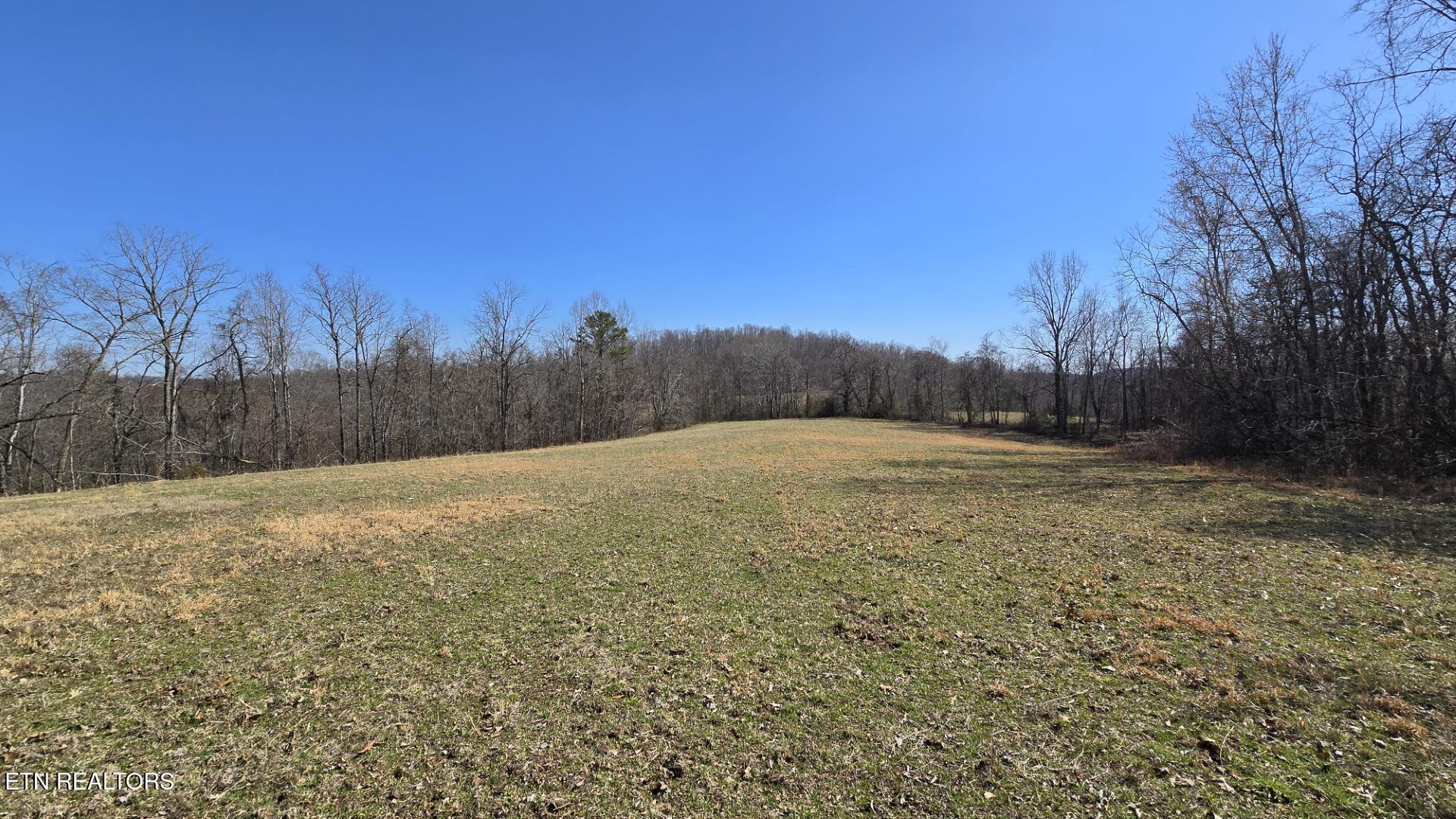 Chestnut Grove Road New Tazewell, TN 37825 - Photo 8 of 12 Snapshot 7