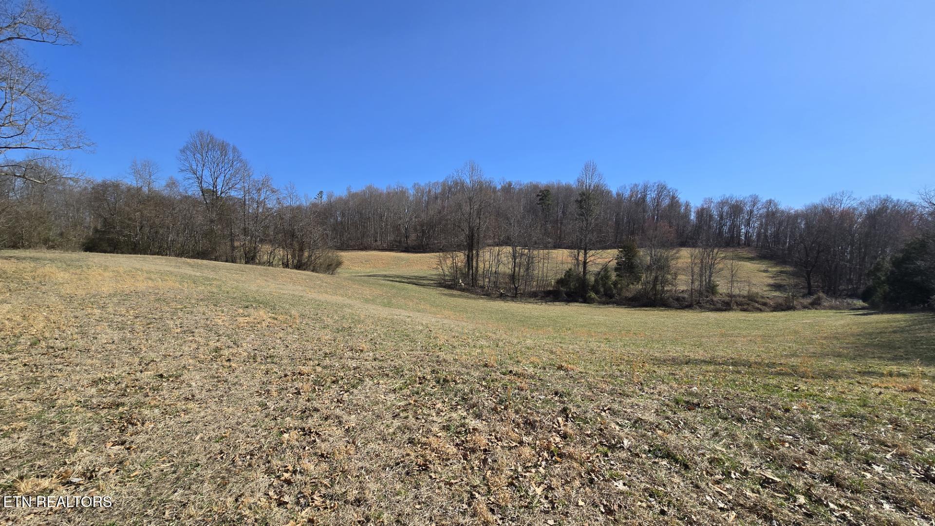 Chestnut Grove Road New Tazewell, TN 37825 - Photo 9 of 12 Snapshot8