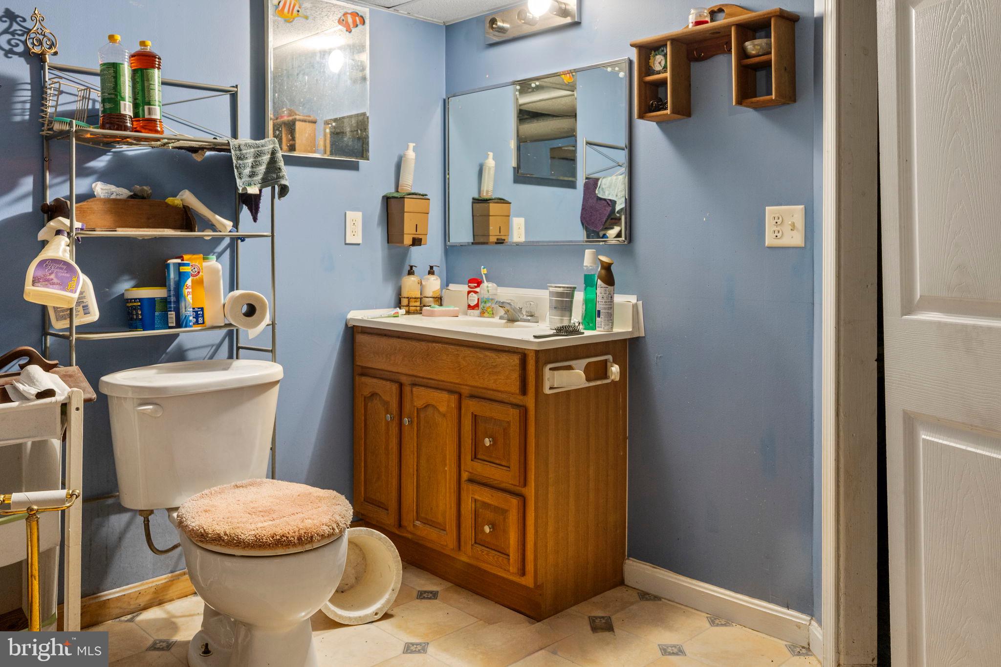 341 Goosemar Road Rising Sun, MD 21911 - Photo 18 of 24 a bathroom with a toilet sink and mirror
