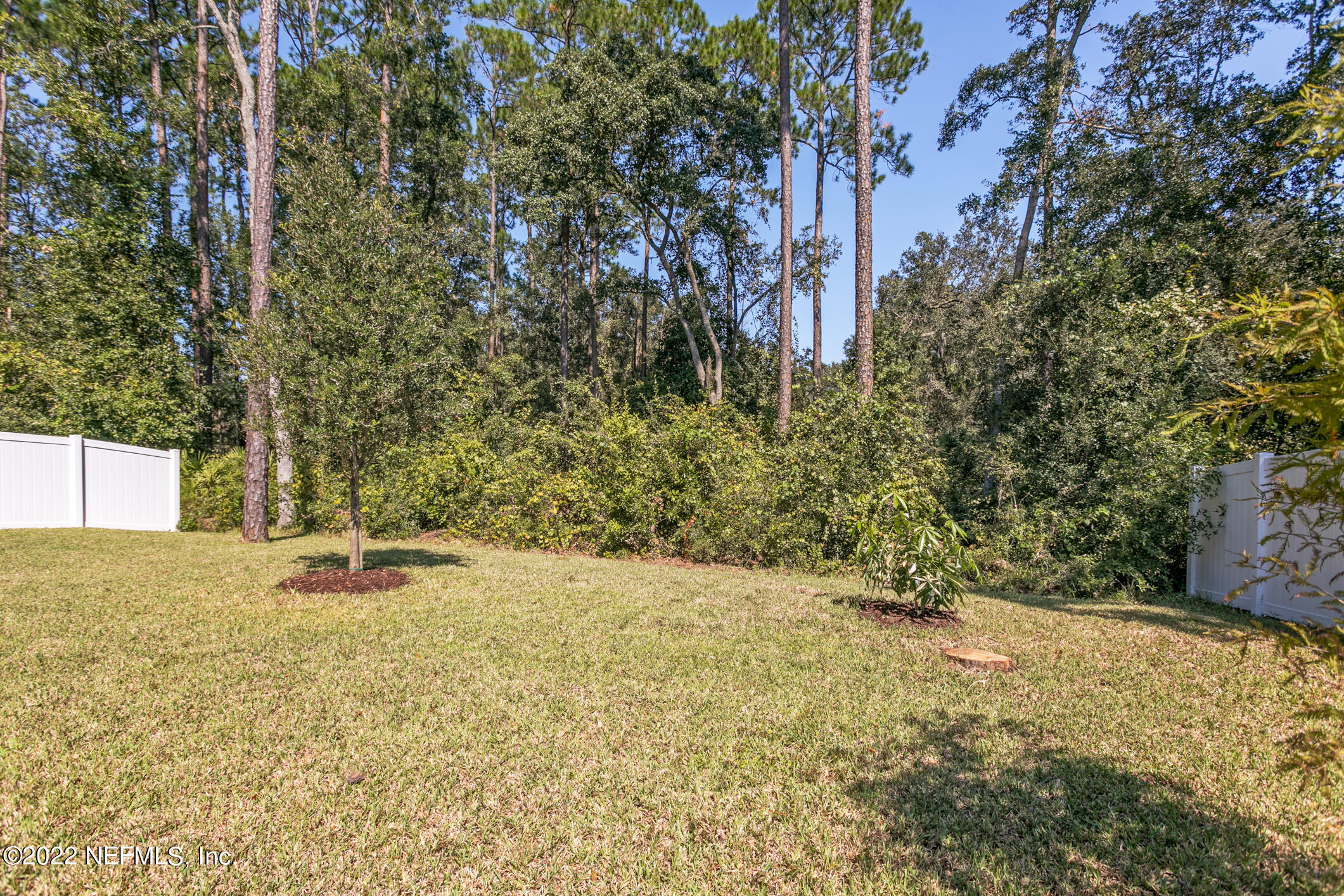 1098 Flach Drive St. Johns, FL 32259 - Photo 49 of 52 a backyard of a house with large trees and plants