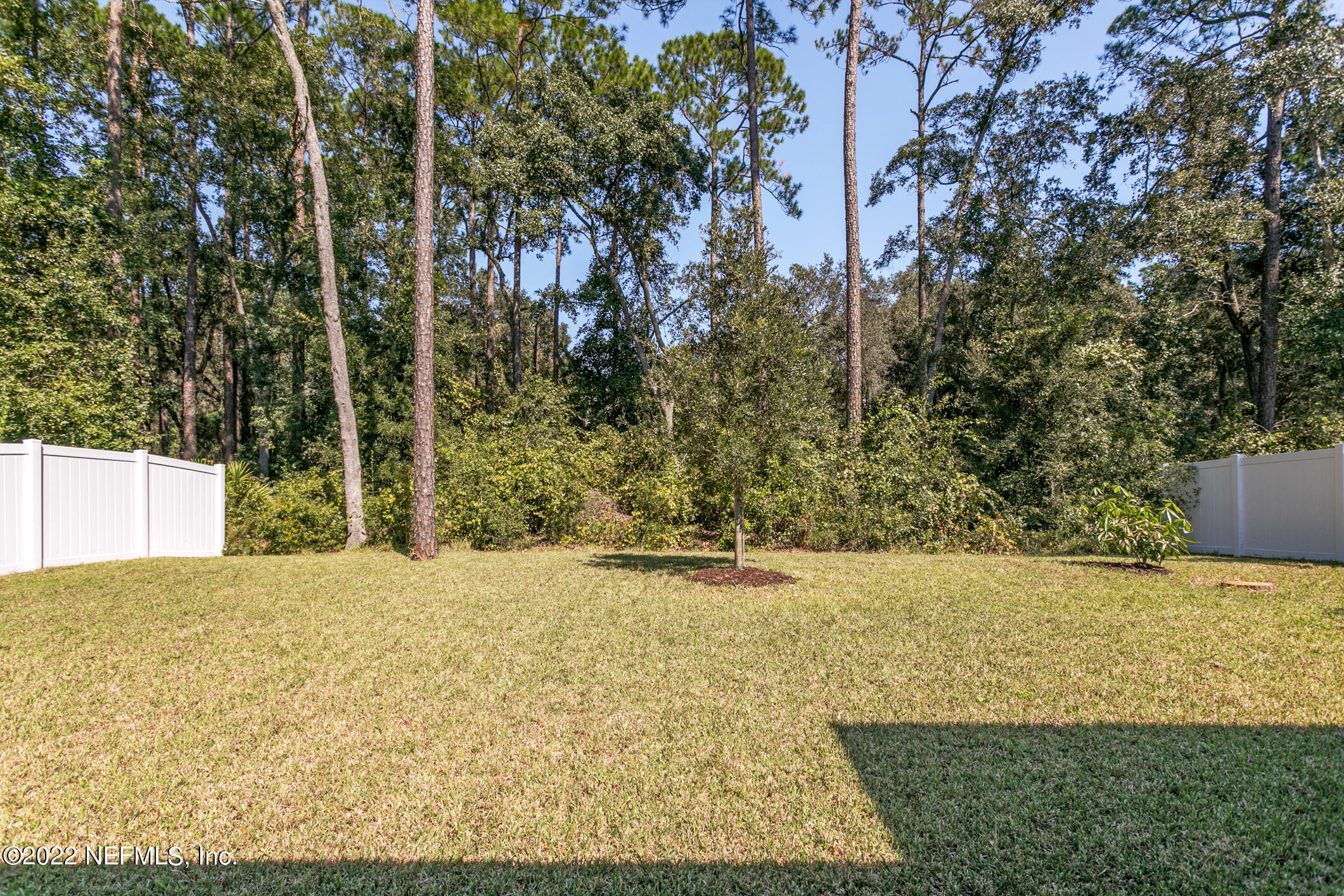 1098 Flach Drive St. Johns, FL 32259 - Photo 52 of 52 a view of a yard with an trees