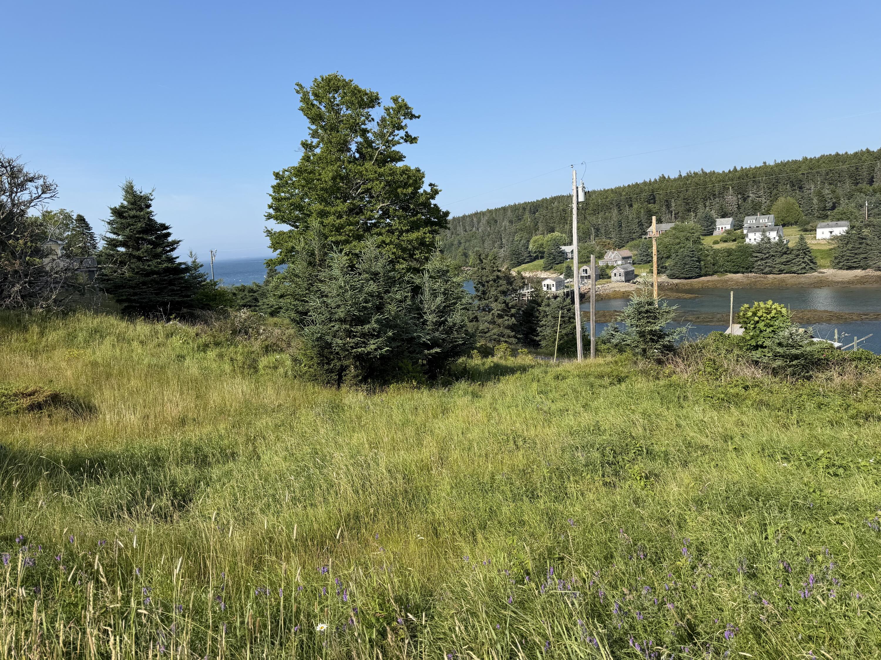 6 West Shore Road Frenchboro, ME 04635 - Photo 6 of 10 grass copy