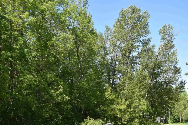 $55,000 | 10-xx West Bigelow Street, Washburn, WI 54891