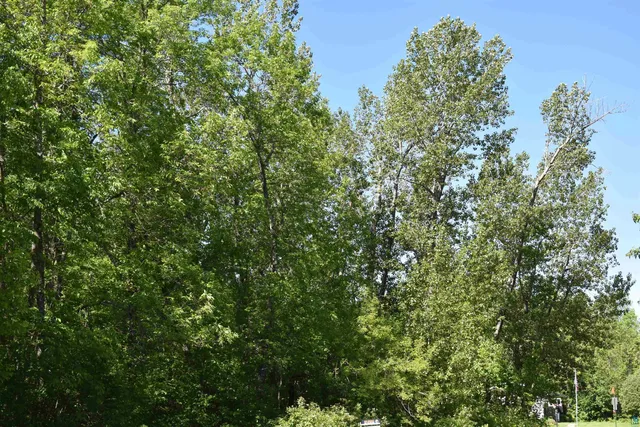 $55,000 | 10-xx West Bigelow Street, Washburn, WI 54891