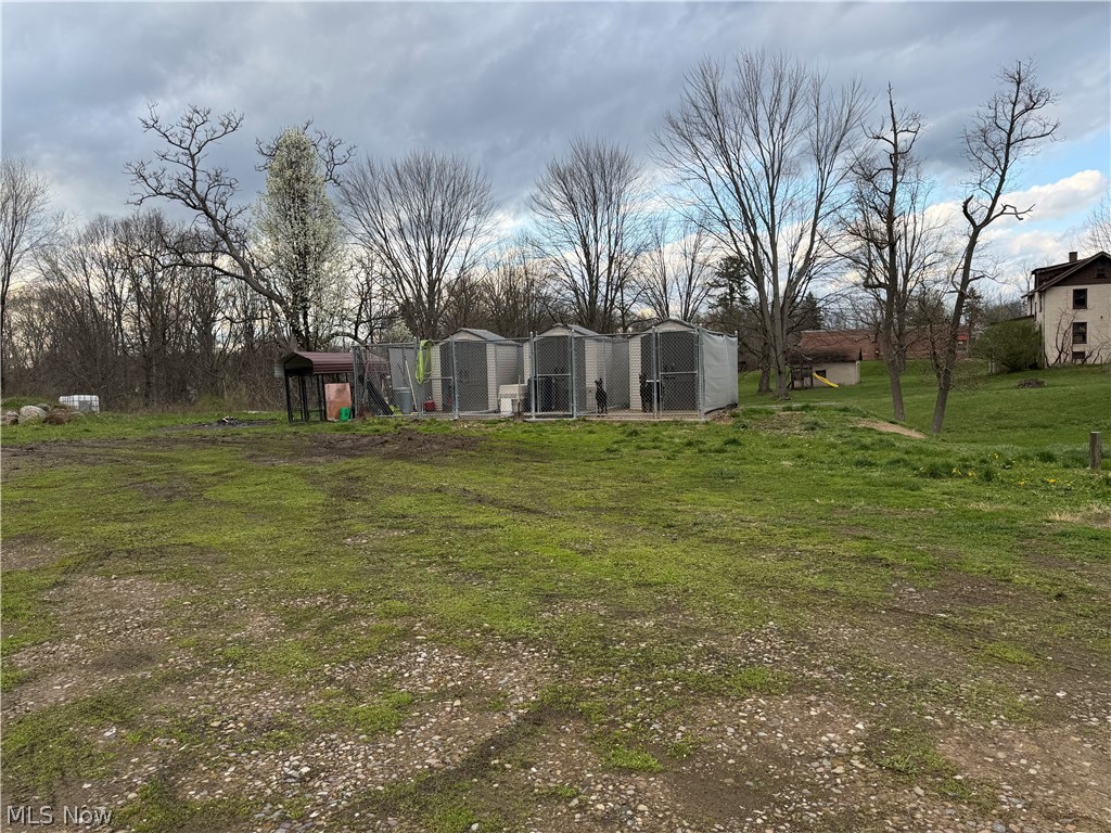 1564 Niles Cortland Road Warren, OH 44484 - Photo 4 of 4 Kennels in back yard