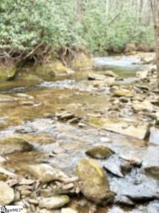 0 Green River Road Zirconia, NC 28790 - Photo 11 of 17