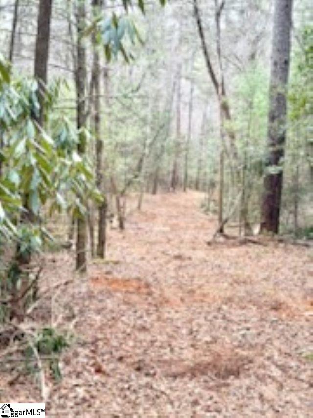 0 Green River Road Zirconia, NC 28790 - Photo 17 of 17