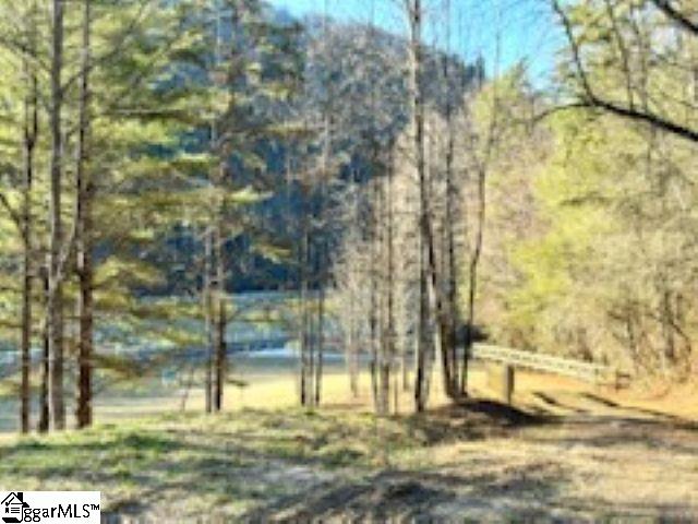 0 Green River Road Zirconia, NC 28790 - Photo 2 of 17