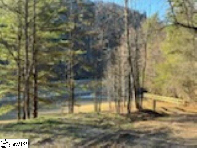 0 Green River Road Zirconia, NC 28790 - Photo 3 of 17