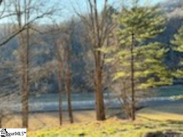 0 Green River Road Zirconia, NC 28790 - Photo 4 of 17