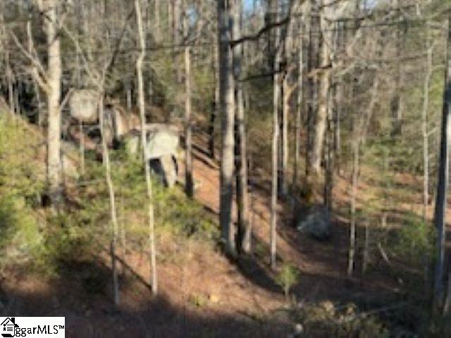 0 Green River Road Zirconia, NC 28790 - Photo 8 of 17