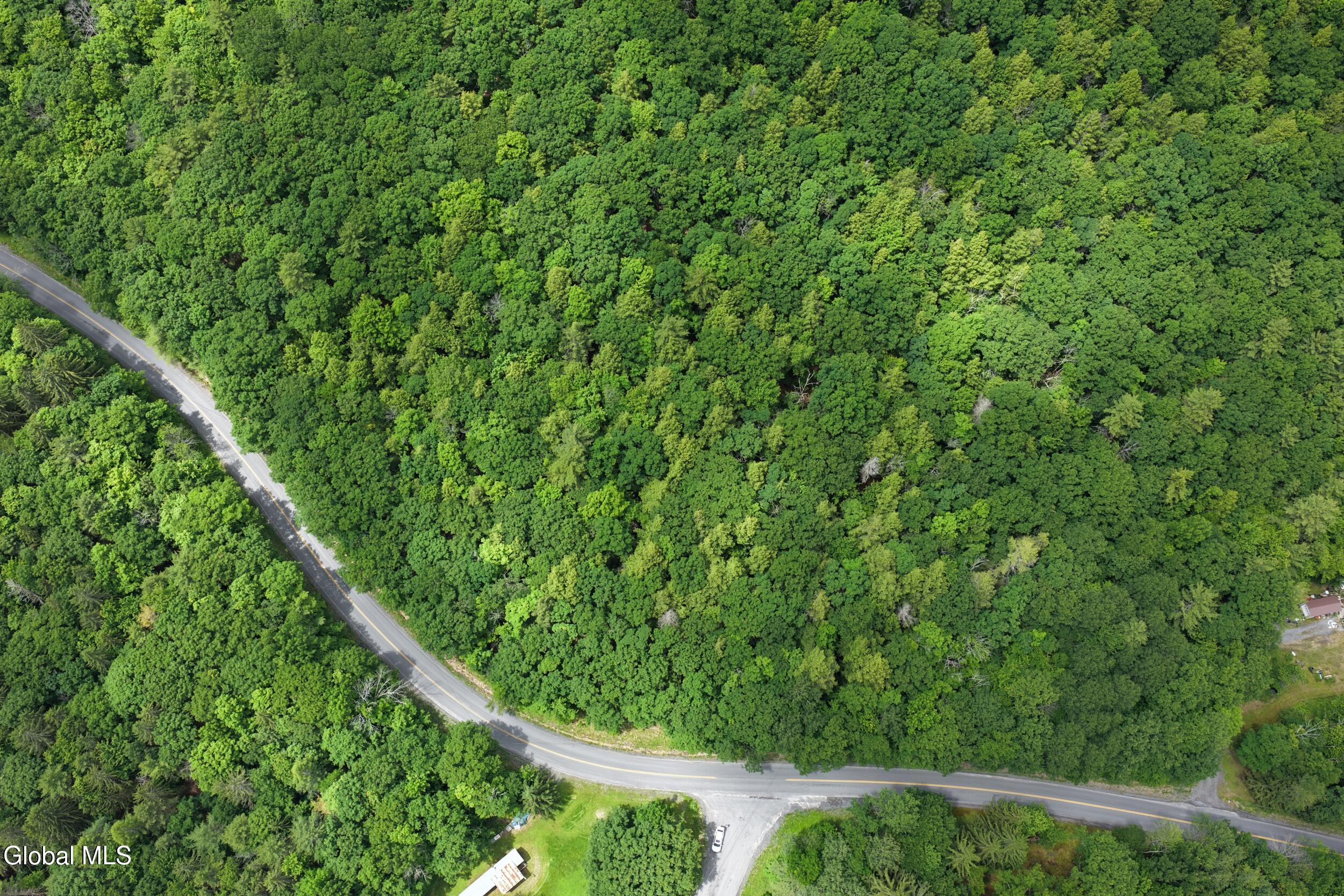 L1.00 Cotton Hill Road Middleburgh, NY 12122 - Photo 5 of 17 dji_20260616013700_0051_d