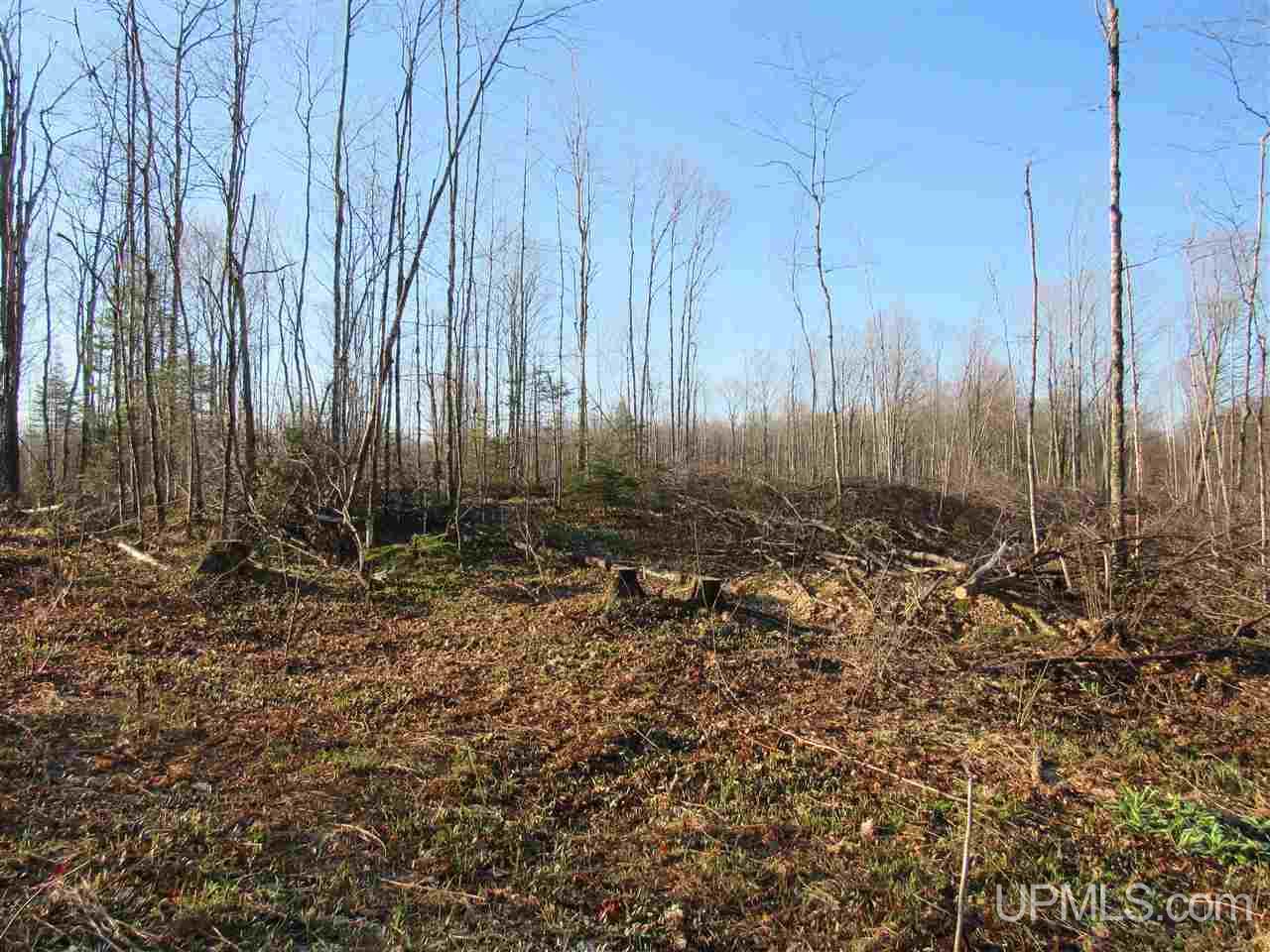 Tbd Tbd Mcmaster Road Skandia, MI 49885 - Photo 9 of 10